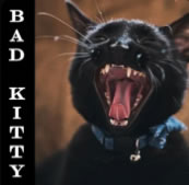 Bad Kitty — single artwork