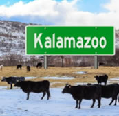 Kalamazoo — single artwork